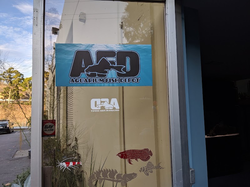 Aquarium Fish Depot — photo 1
