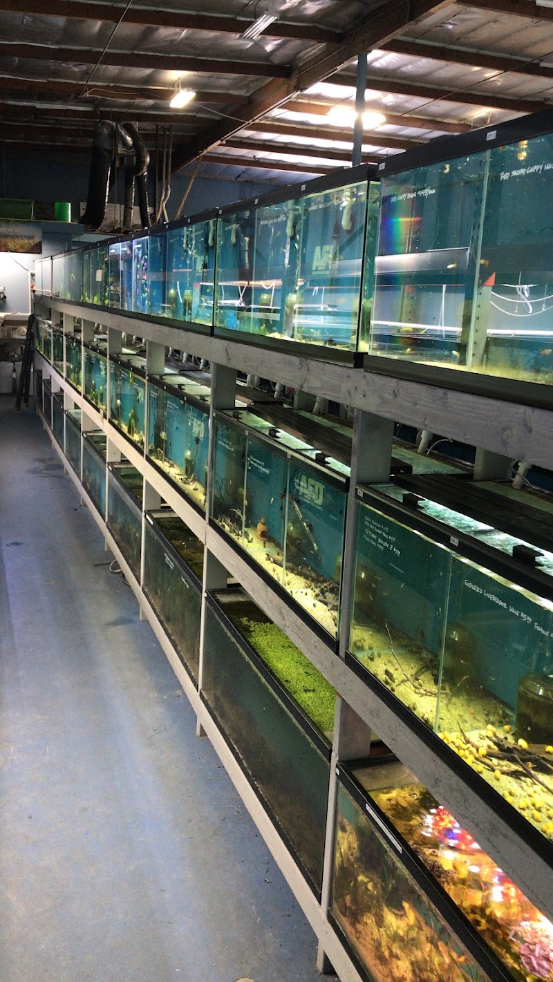 Aquarium Fish Depot — photo 2