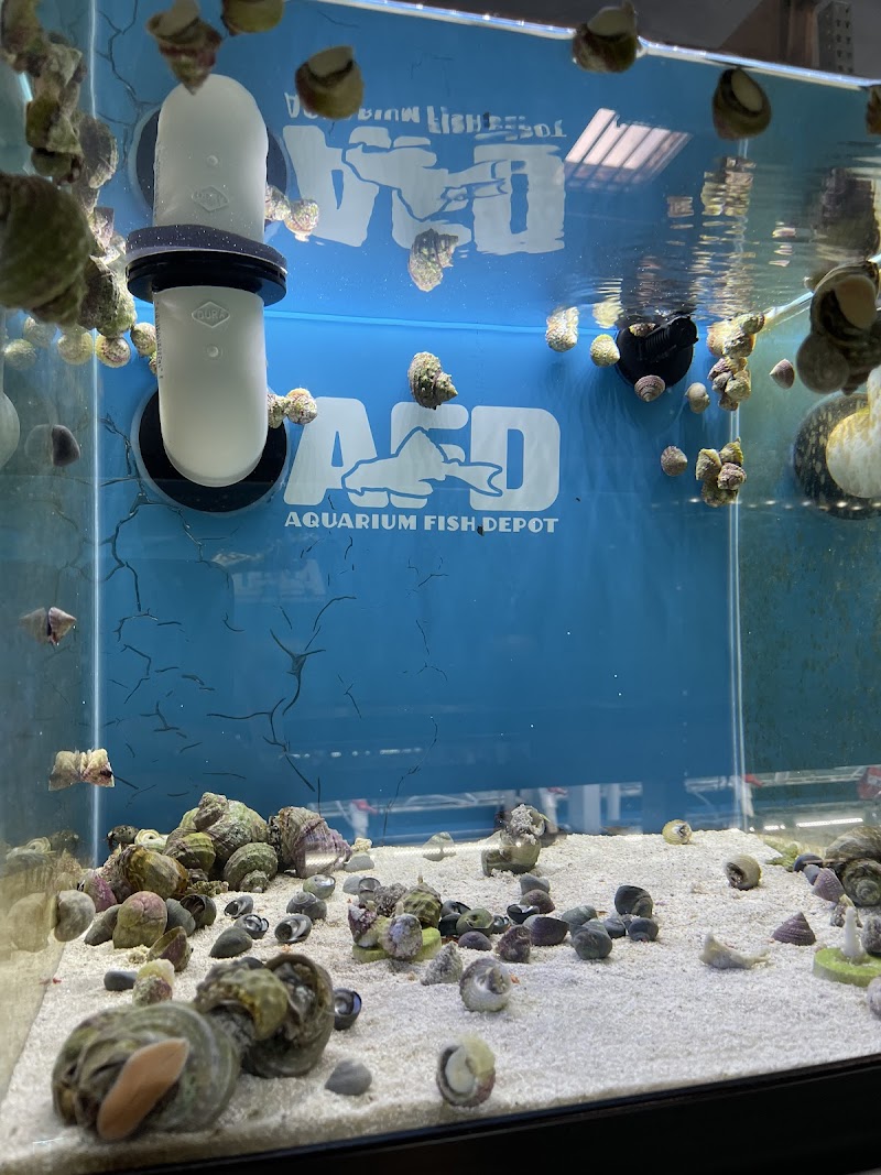 Aquarium Fish Depot — photo 3
