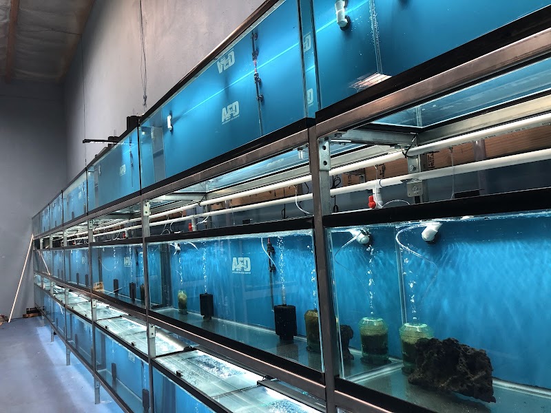 Aquarium Fish Depot — photo 4