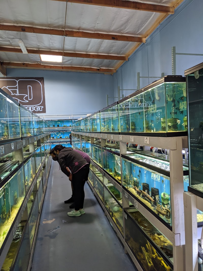 Aquarium Fish Depot — photo 5