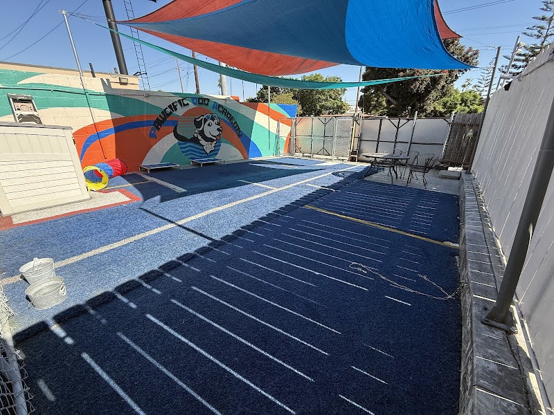 PawcificDogAcademy — photo 1