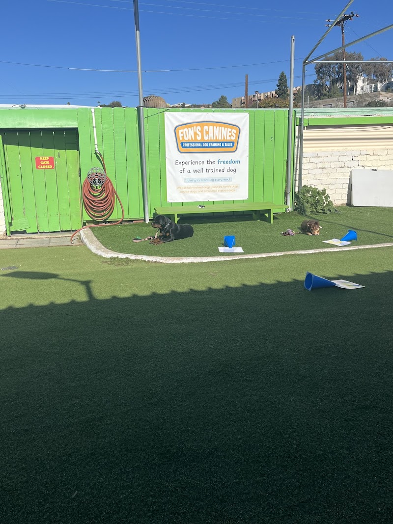Fon's Canines Professional Dog Training and Sales — photo 1