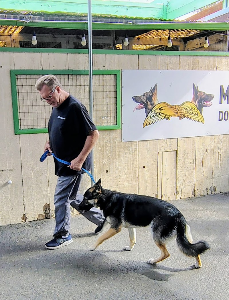 Fon's Canines Professional Dog Training and Sales — photo 2