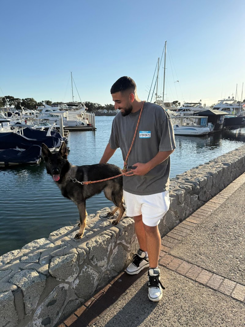 Man-K9 - San Diego Dog Training — photo 4