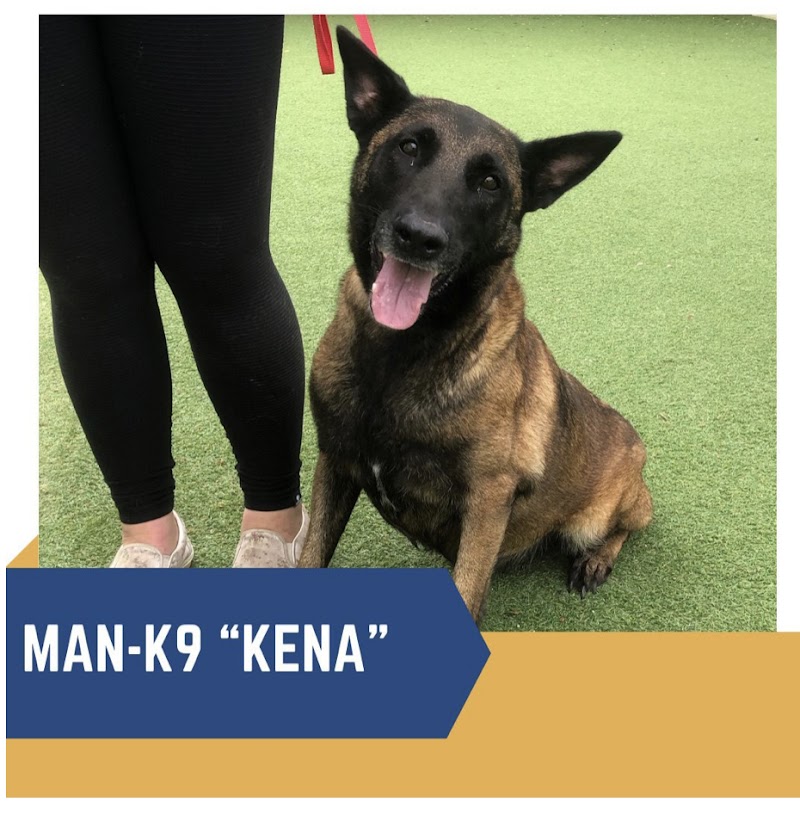 Man-K9 - San Diego Dog Training — photo 5