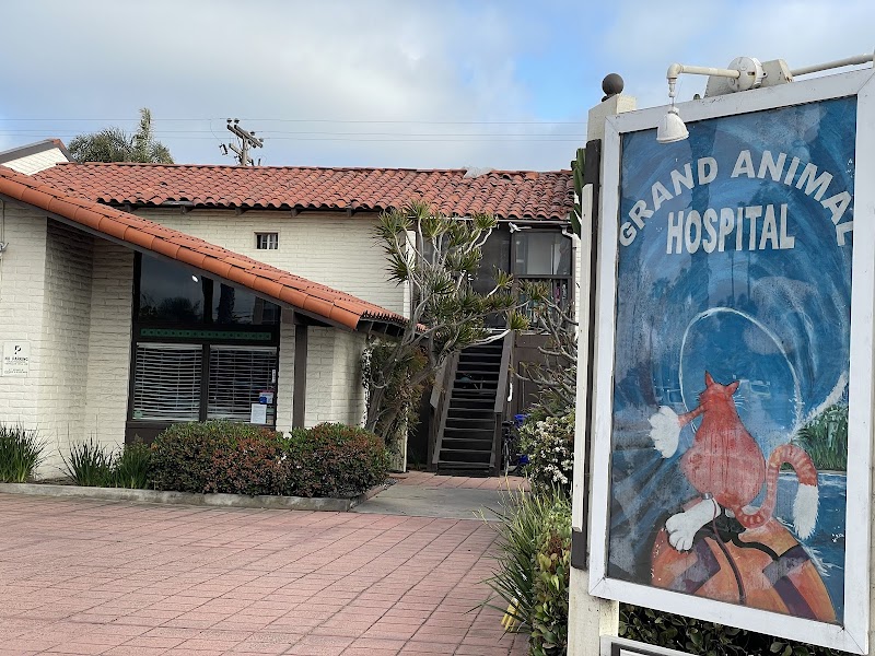 Grand Animal Hospital — photo 2