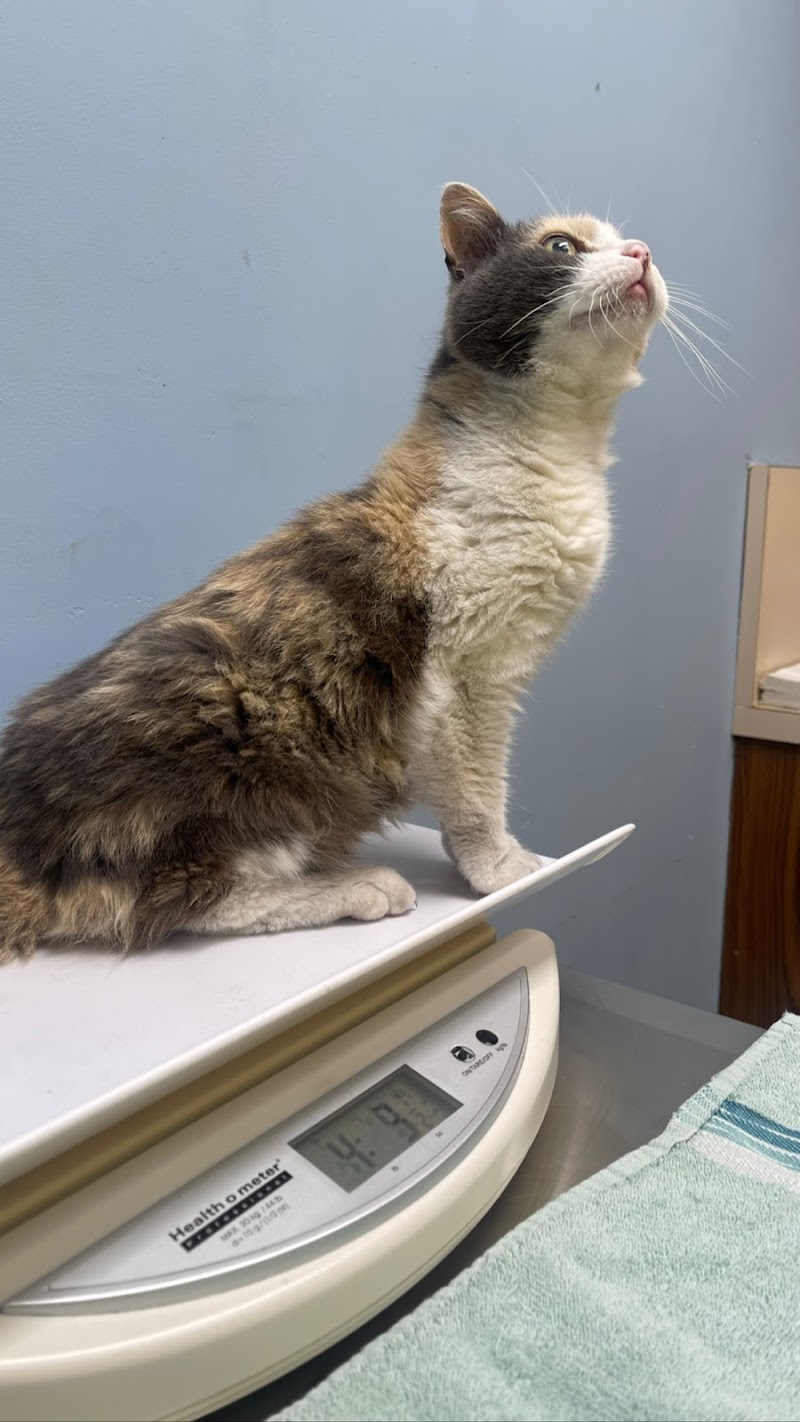 Grand Animal Hospital — photo 5