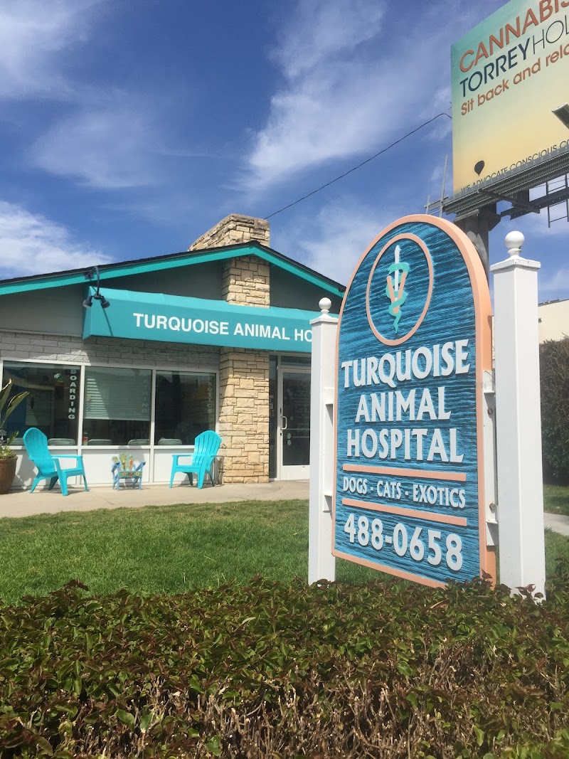 Turquoise Animal Hospital — photo 2