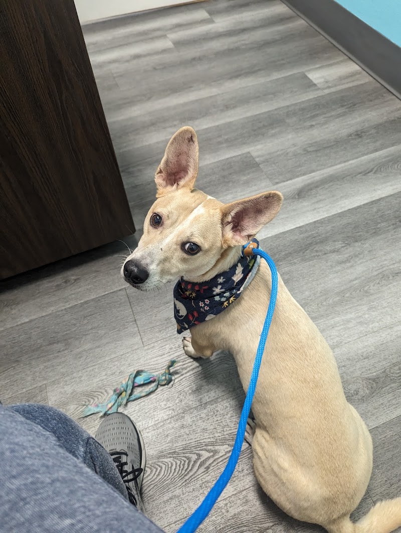 Turquoise Animal Hospital — photo 3