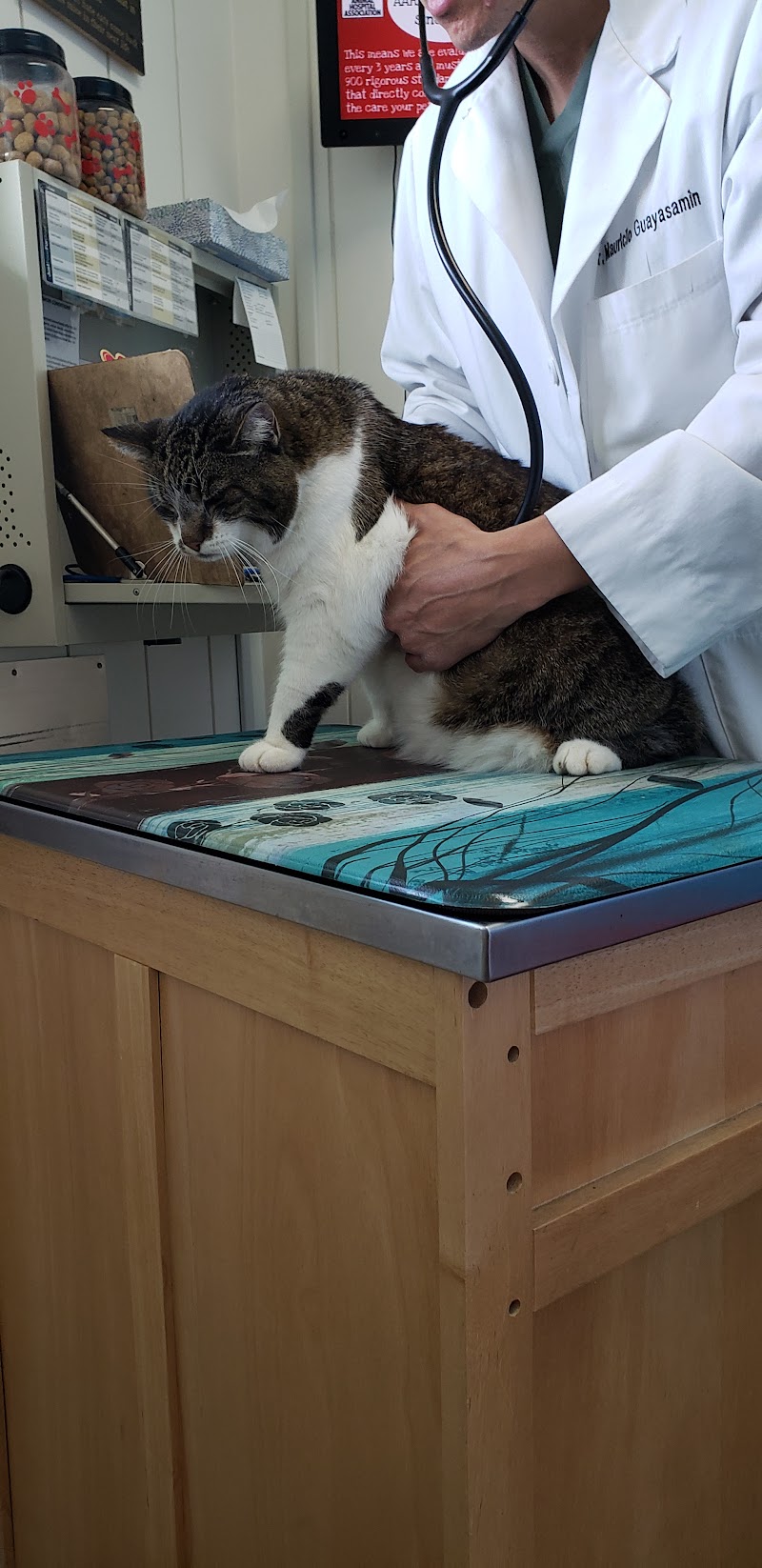Turquoise Animal Hospital — photo 4