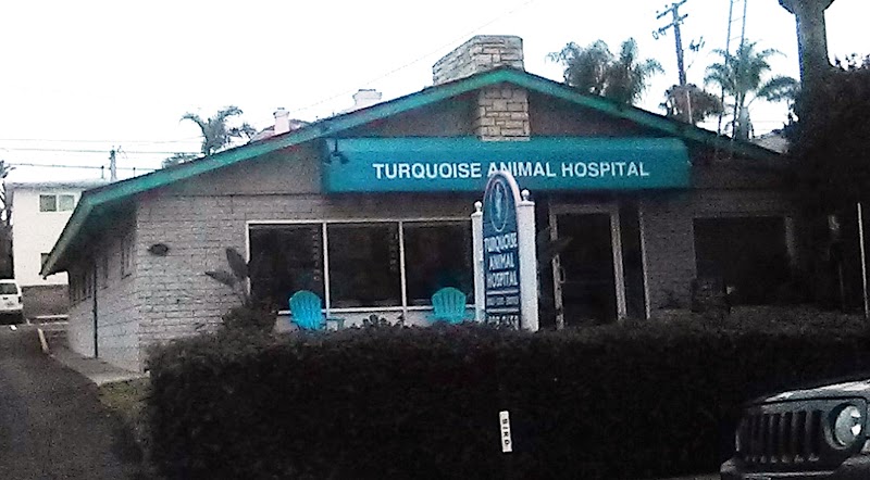 Turquoise Animal Hospital — photo 5