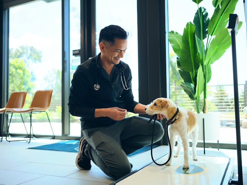 Bayview Veterinary Center — photo 2