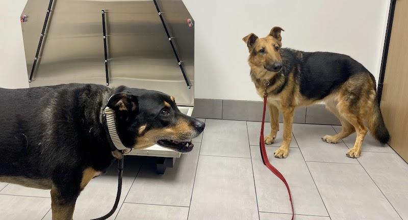 Bayview Veterinary Center — photo 3
