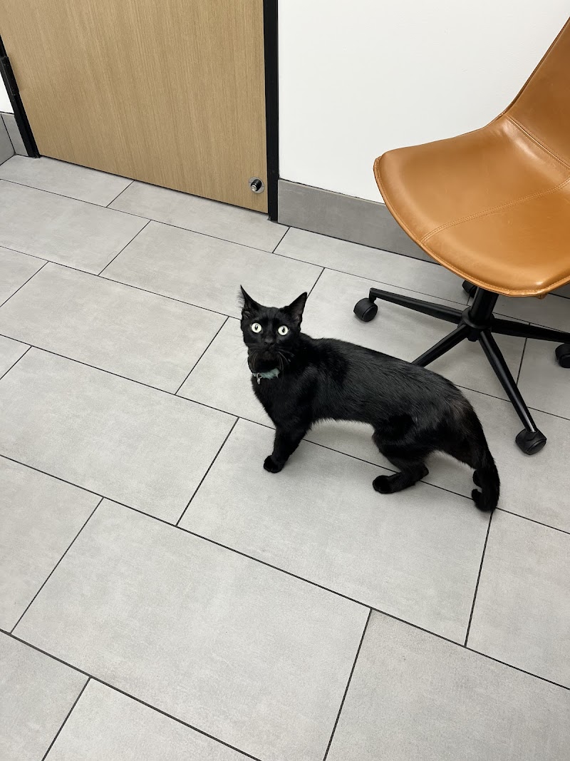 Bayview Veterinary Center — photo 4