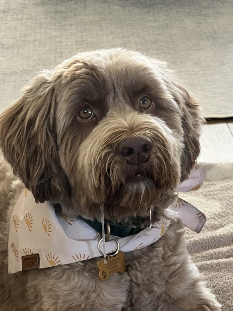Banfield Pet Hospital — photo 2