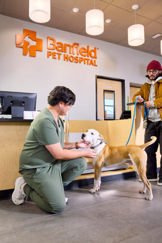 Banfield Pet Hospital — photo 4