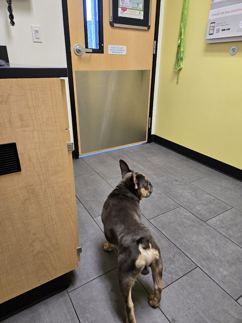 Banfield Pet Hospital — photo 5