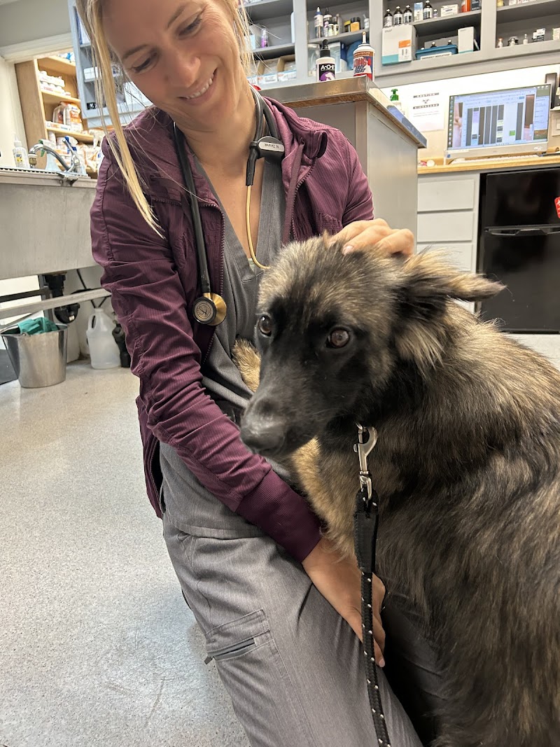 ABC Veterinary Hospital Pacific Beach — photo 3