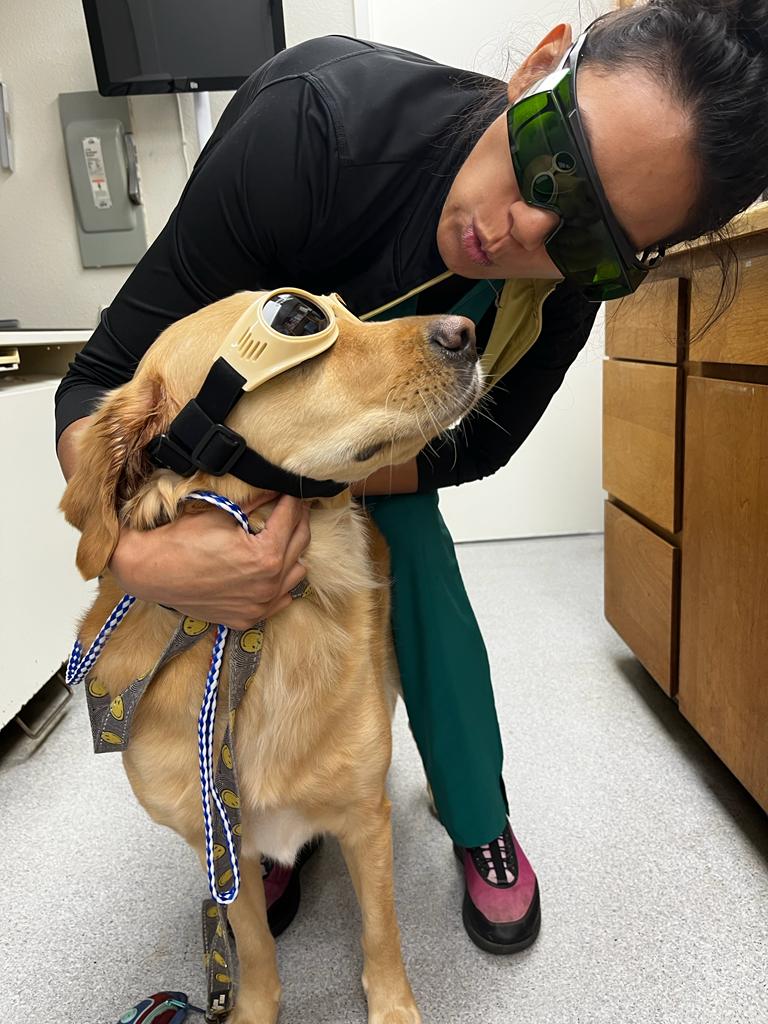 ABC Veterinary Hospital Pacific Beach — photo 5