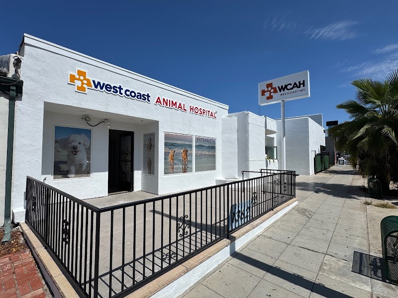 West Coast Animal Hospital — photo 1