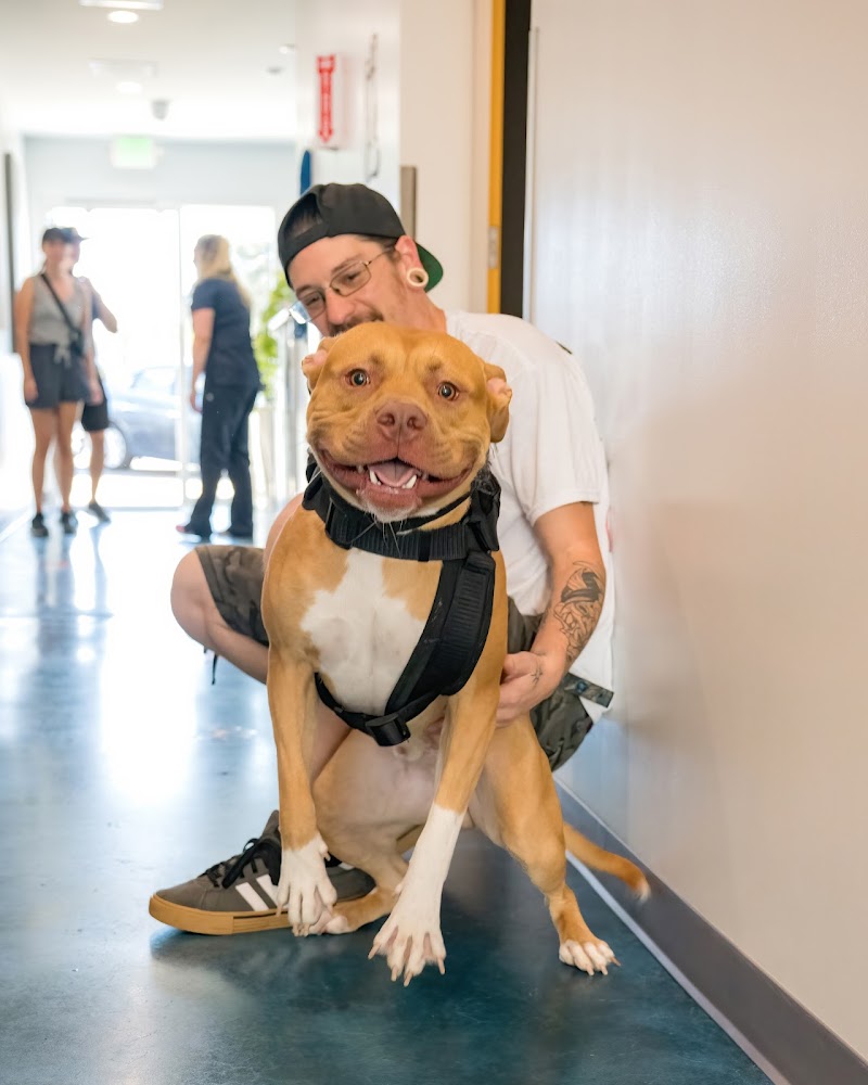 West Coast Animal Hospital — photo 3