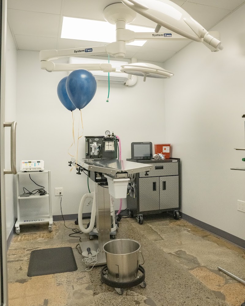West Coast Animal Hospital — photo 5