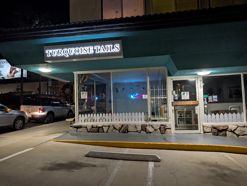 Turquoise Tails — photo 5