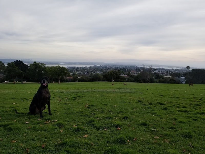 Kate Sessions Memorial Park β photo 2