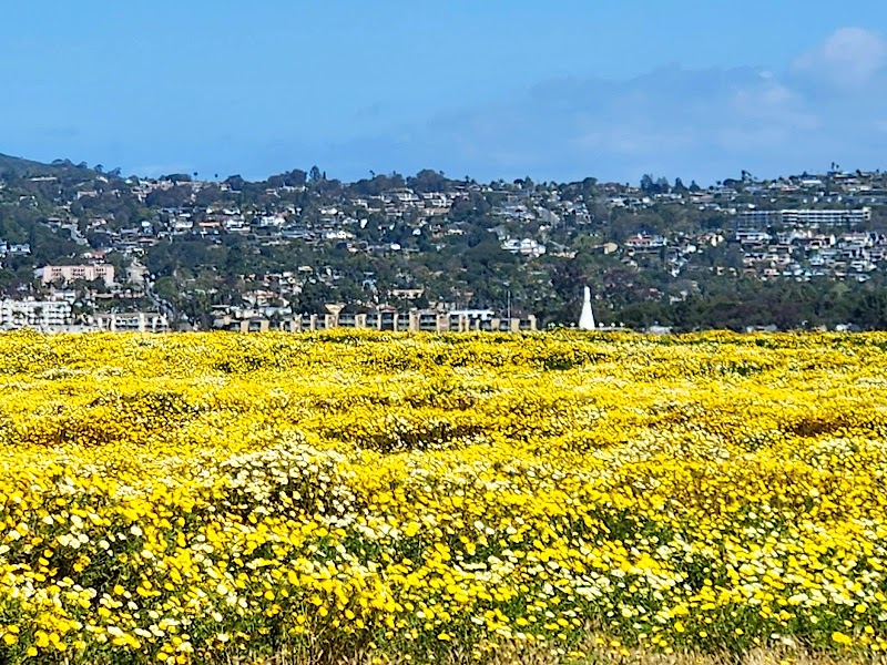Fiesta Island — photo 3