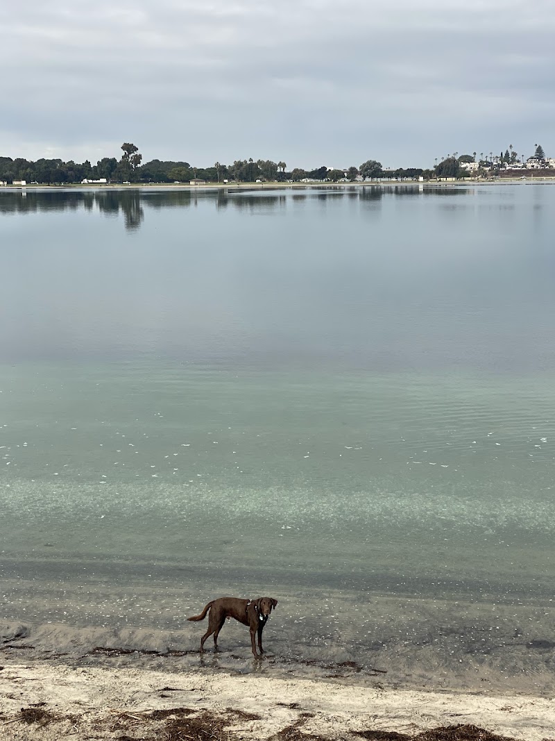 Fiesta Island — photo 4