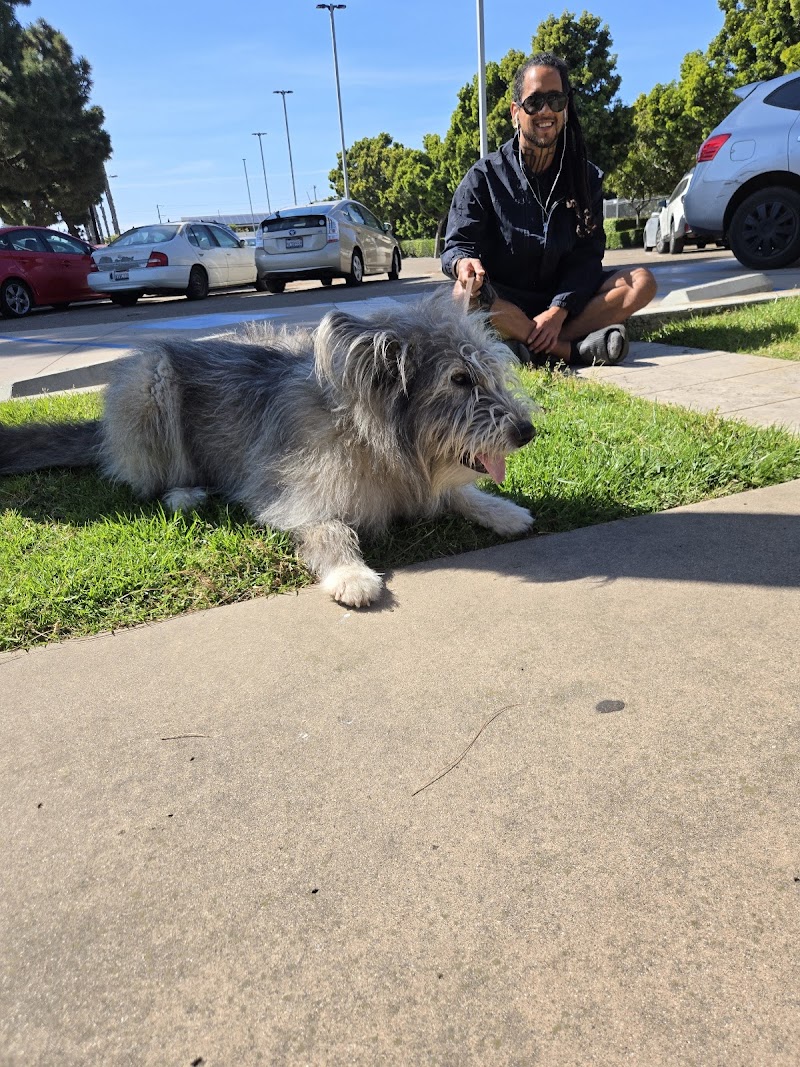 San Diego Pet Boarding — photo 1