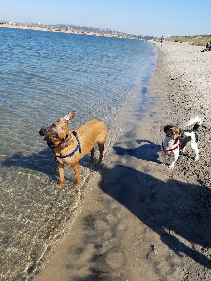 Fiesta Island Dog Park — photo 3