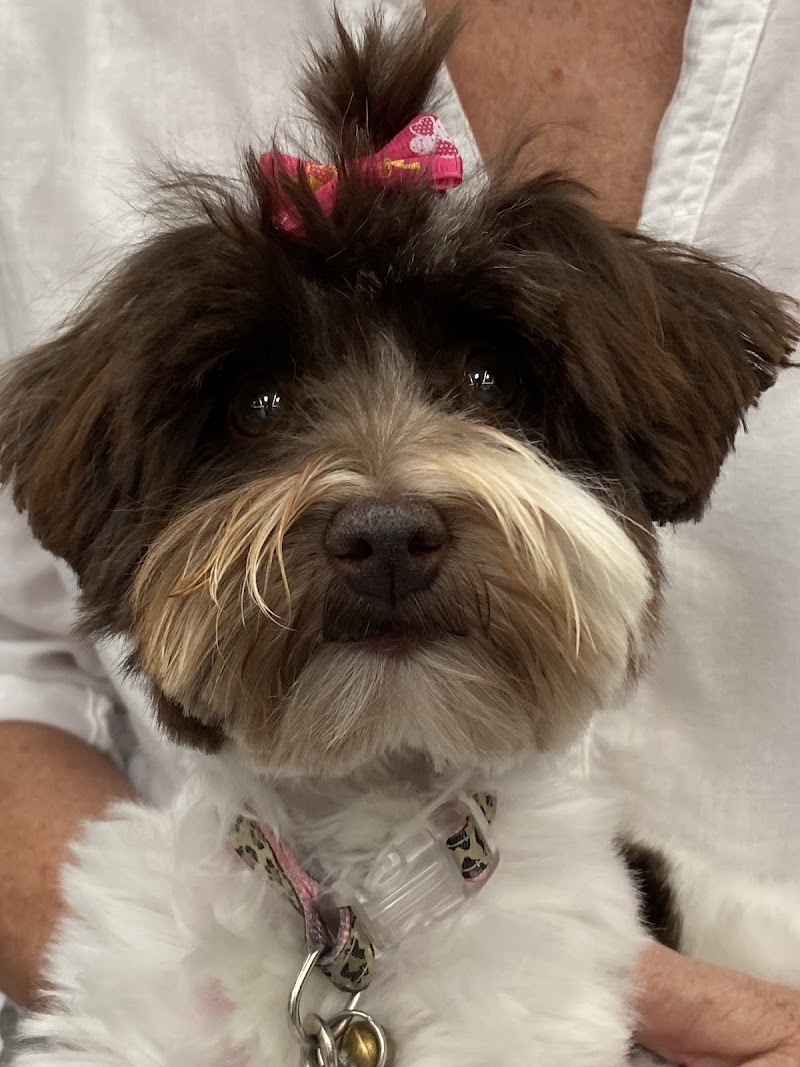 Aubry's Pet Care — photo 3