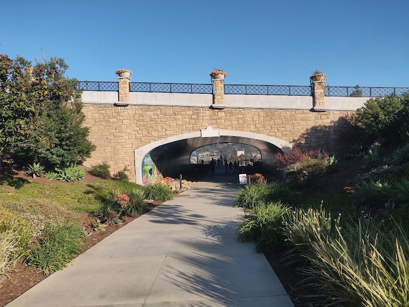 Civita Dog Park — photo 3