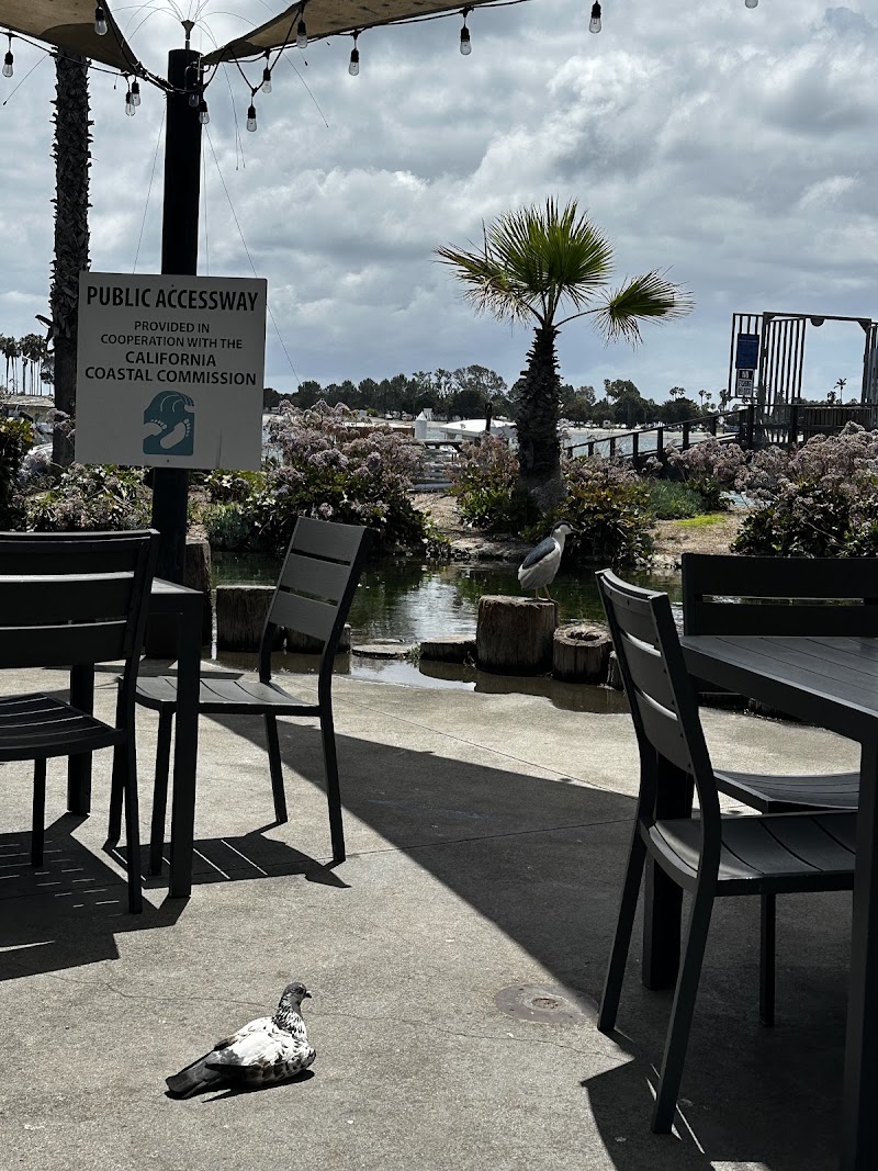 Barefoot Bar & Grill — photo 2