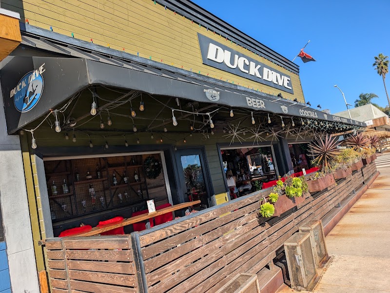 The Duck Dive — photo 4