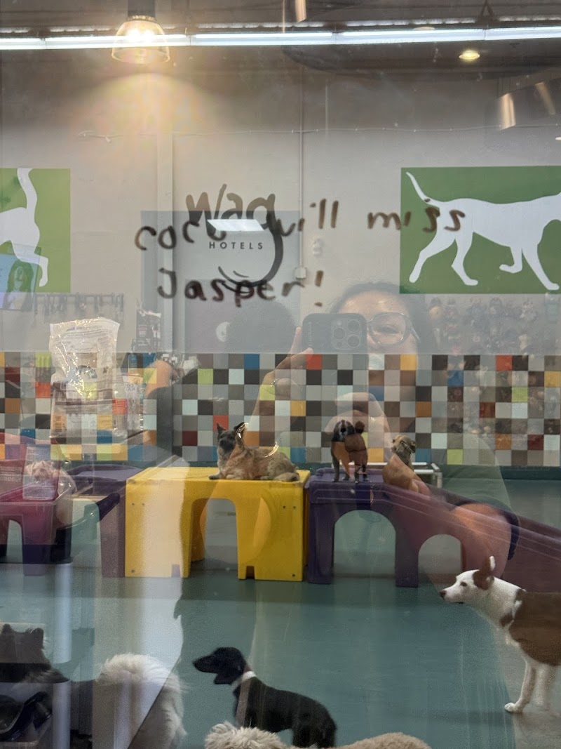 Wag Hotels - San Diego — photo 2