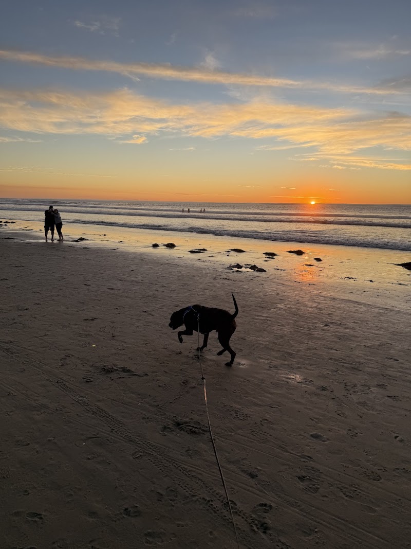 Beachside Boarding — photo 3
