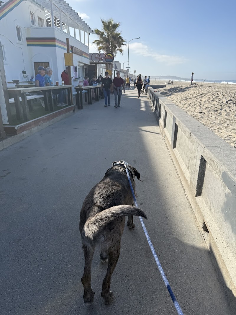 Beachside Boarding — photo 4