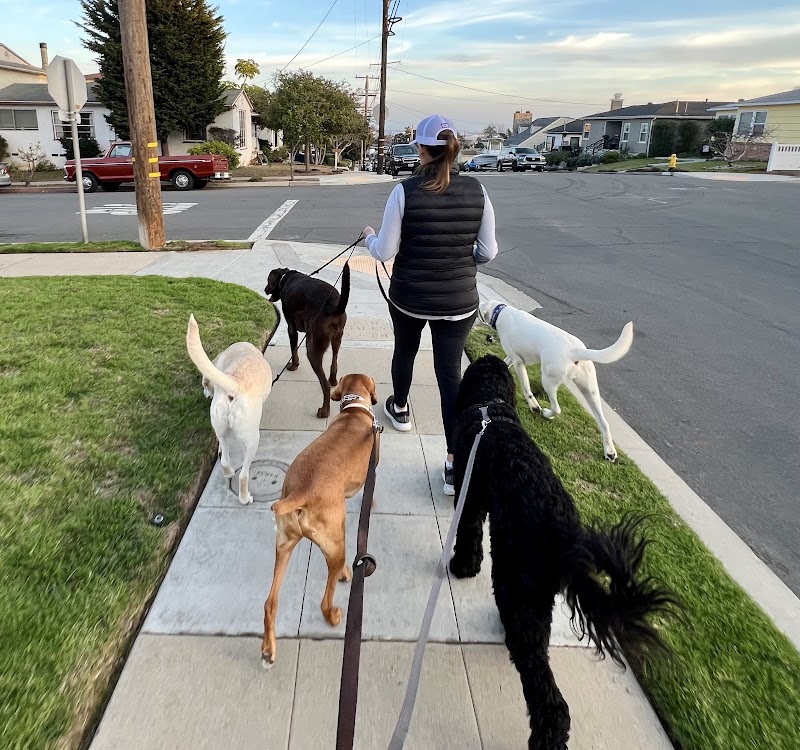 Wildwood Petcare — photo 1