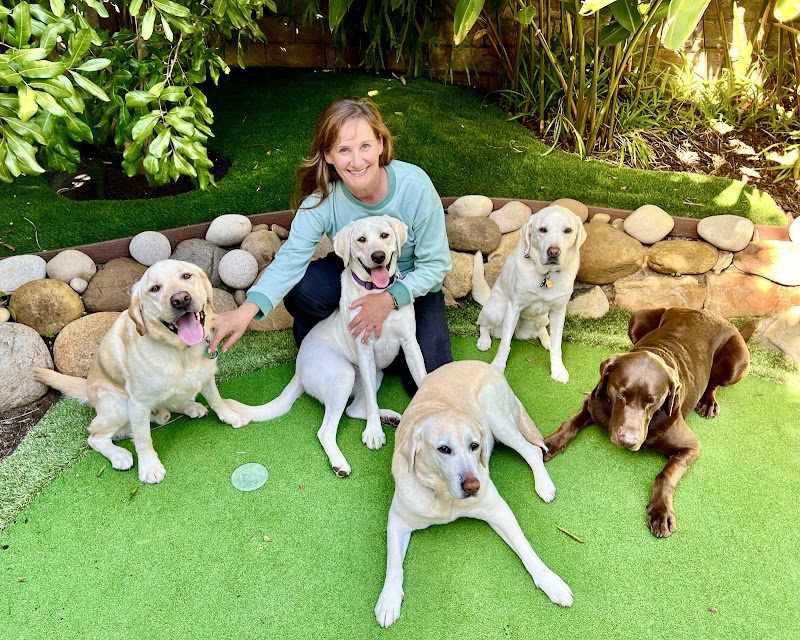 Wildwood Petcare — photo 2