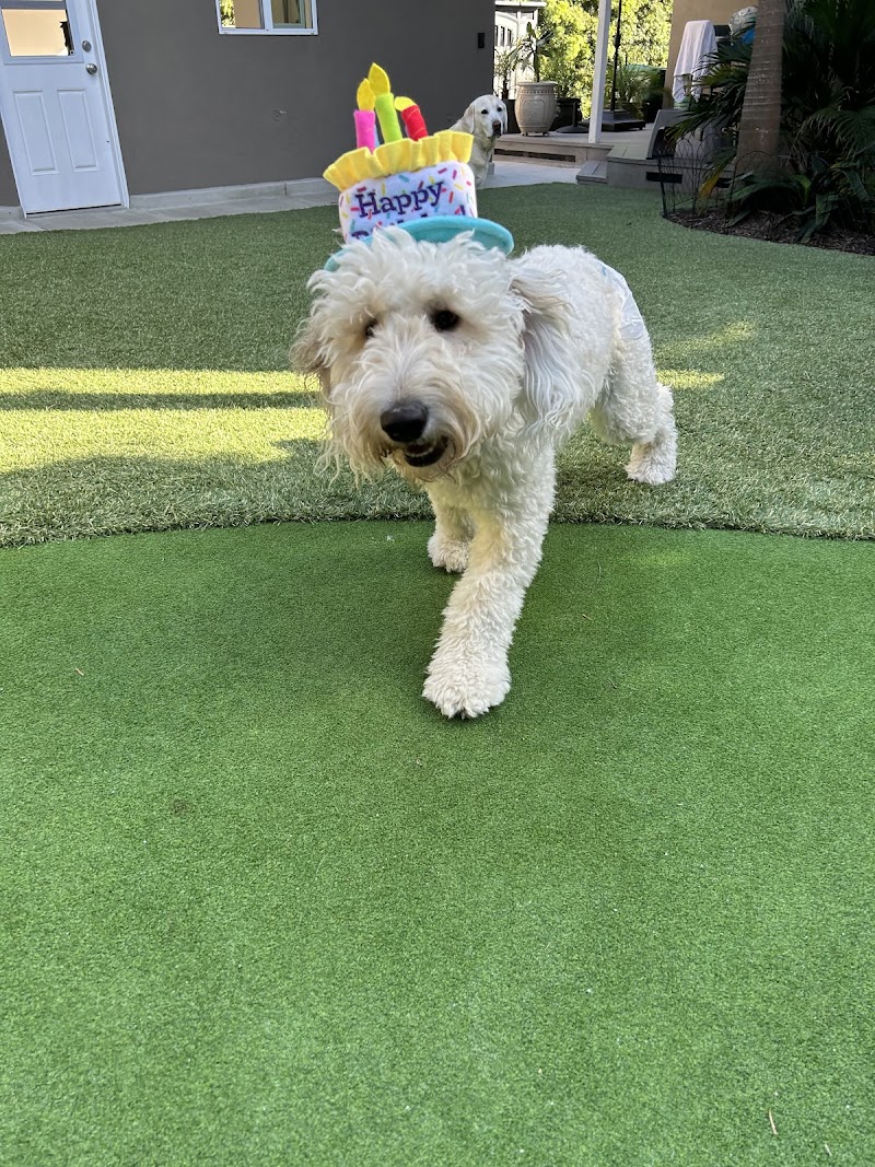 Wildwood Petcare — photo 4