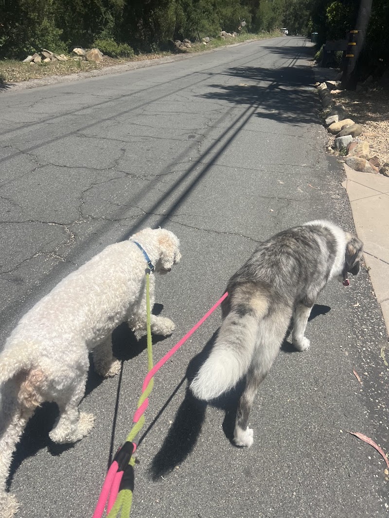 Jen’s Pet Sitting of San Diego — photo 2