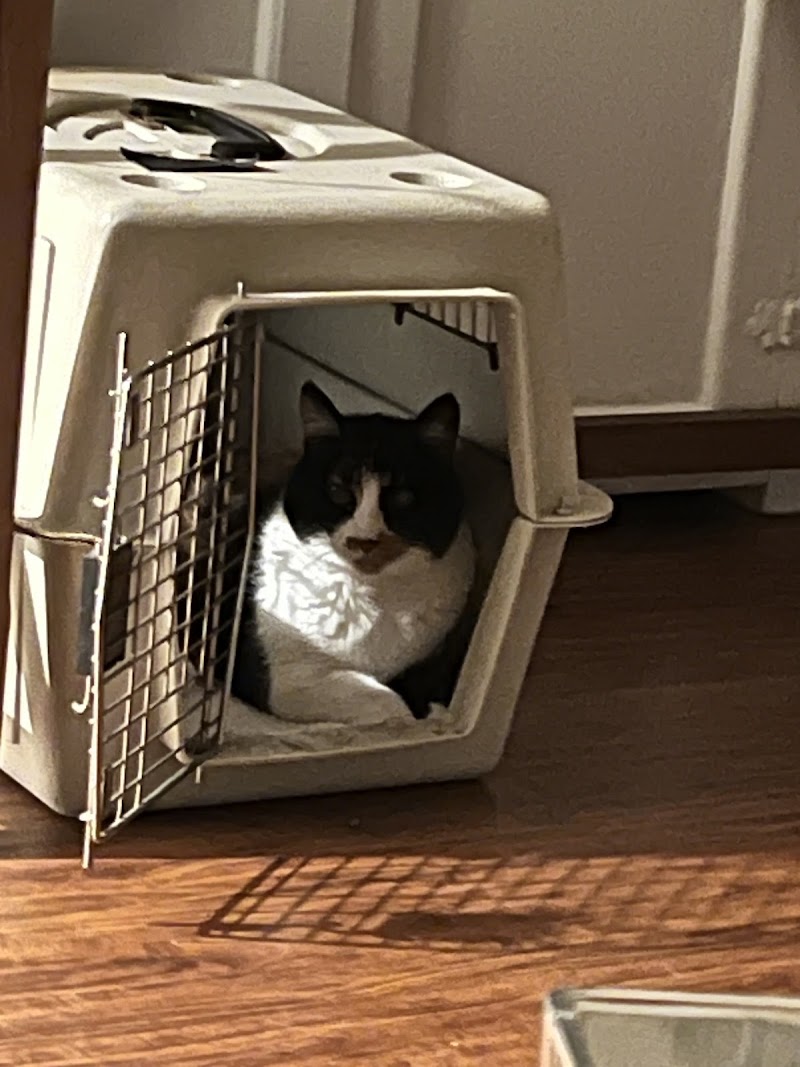 Jen’s Pet Sitting of San Diego — photo 3