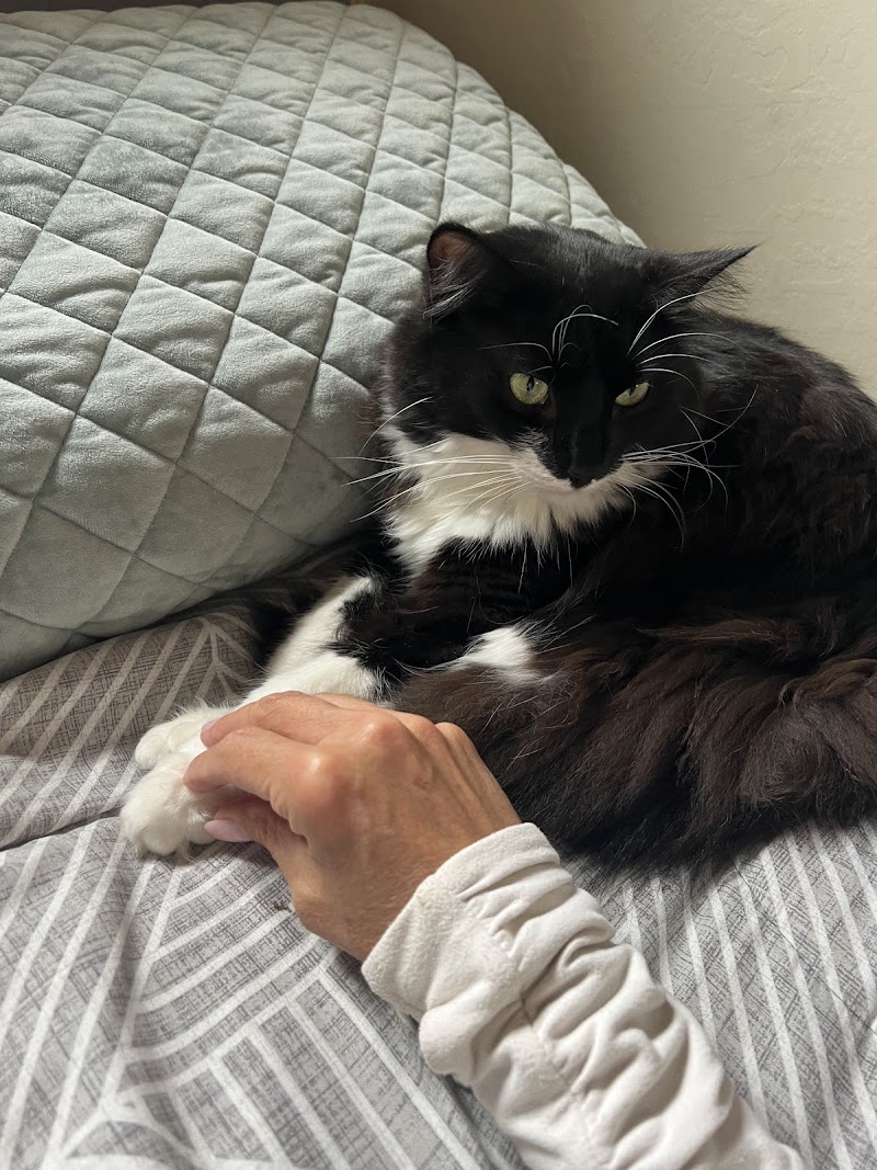 Jen’s Pet Sitting of San Diego — photo 4