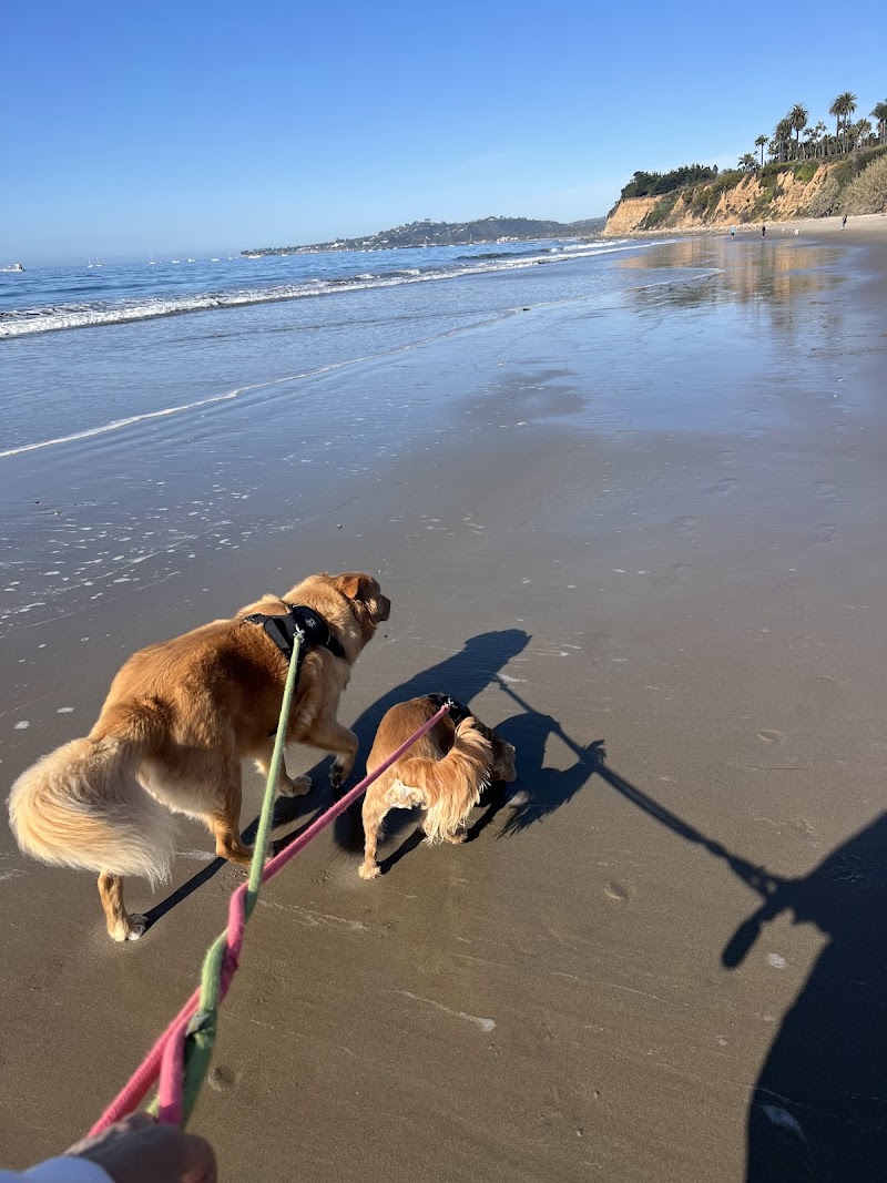 Jen’s Pet Sitting of San Diego — photo 5