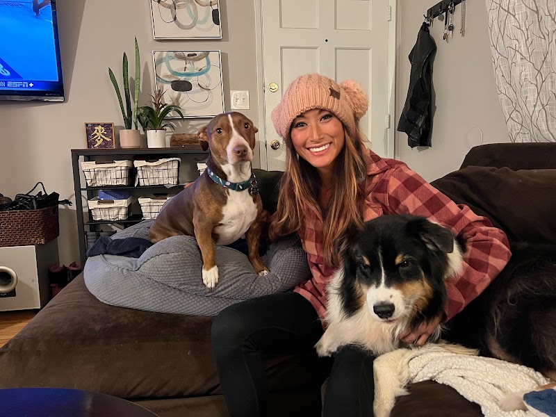 KM Dog Training and Boarding — photo 5