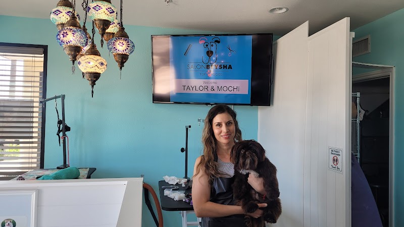 Salon BEYSHA Dog Grooming — photo 1