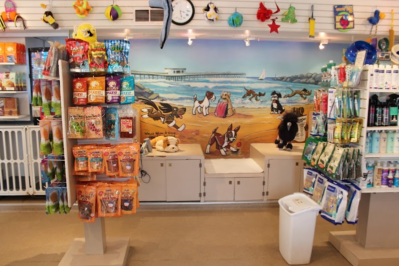 Dog Beach Dog Wash — photo 1